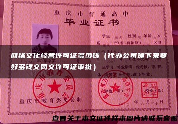 網絡文化經營許可證多少錢（代辦公司理下來要好多錢文網文許可證審批）