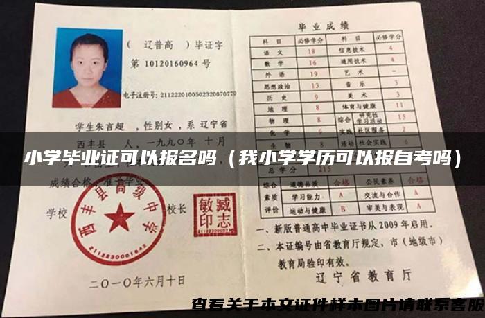 小學畢業證可以報名嗎（我小學學歷可以報自考嗎）