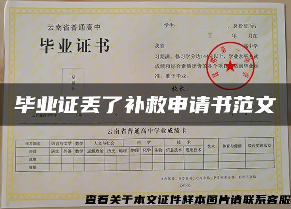 畢業證丟了補救申請書范文