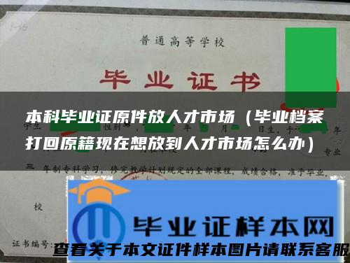 本科畢業證原件放人才市場（畢業檔案打回原籍現在想放到人才市場怎么辦）