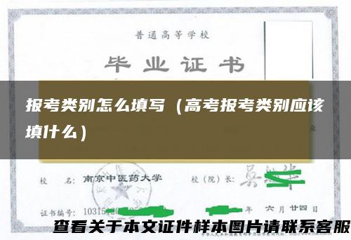 報考類別怎么填寫（高考報考類別應該填什么）