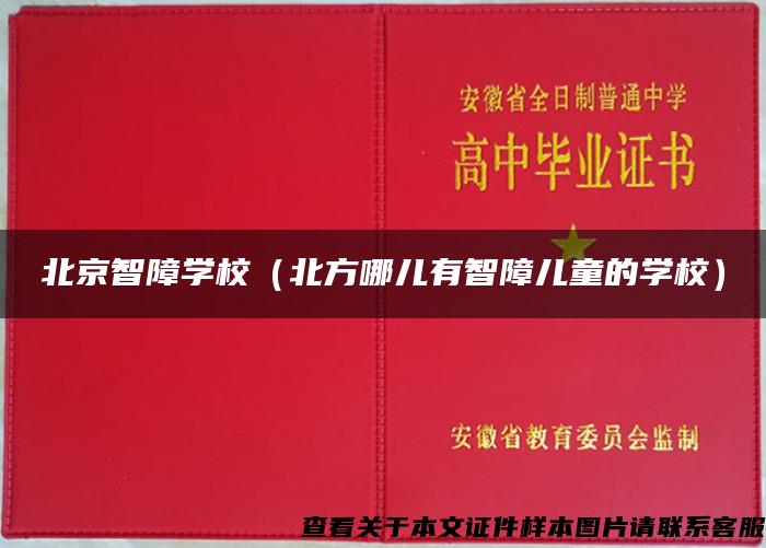 北京智障學校（北方哪兒有智障兒童的學校）