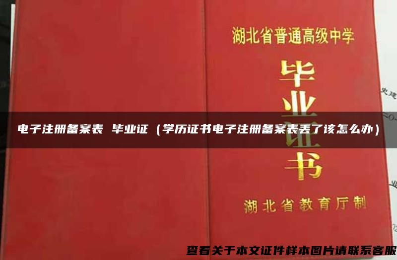 電子注冊備案表 畢業證（學歷證書電子注冊備案表丟了該怎么辦）
