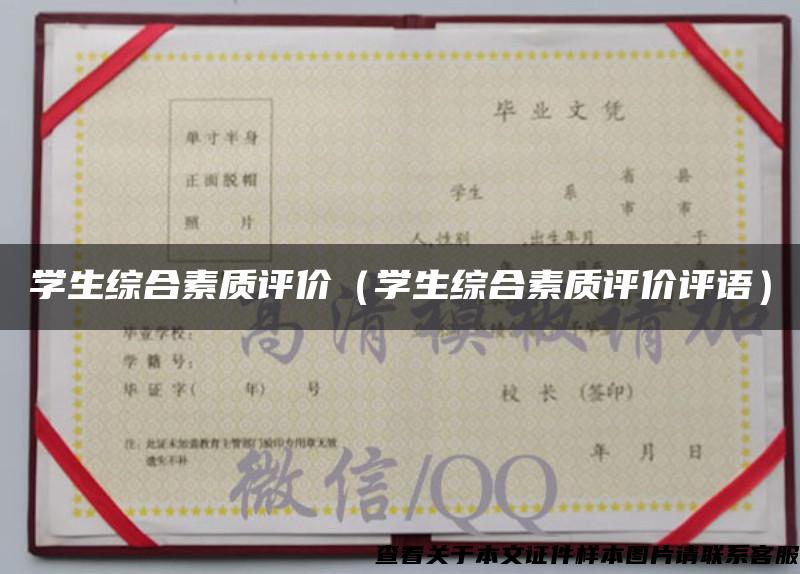學生綜合素質評價（學生綜合素質評價評語）