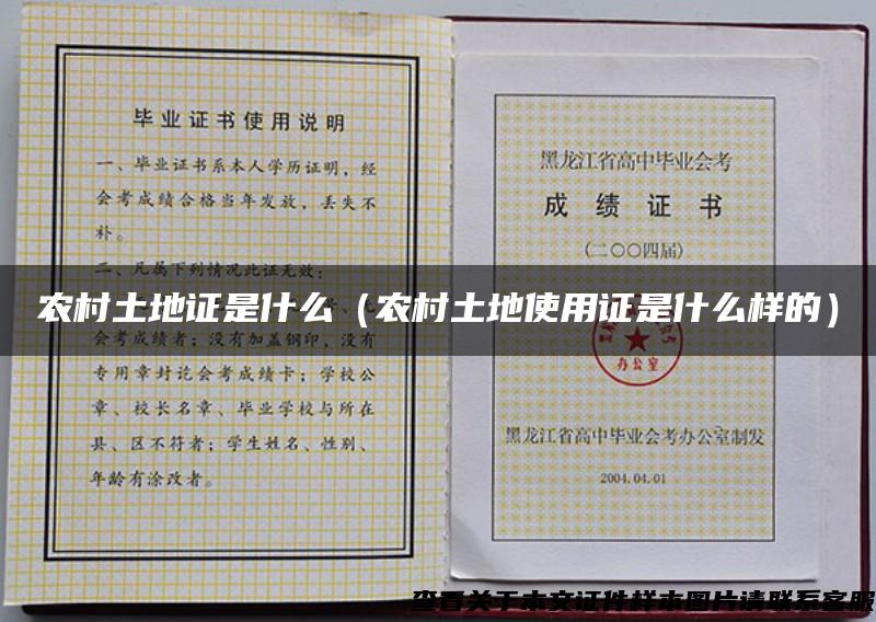 農村土地證是什么（農村土地使用證是什么樣的）