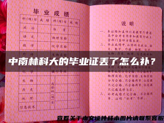 中南林科大的畢業證丟了怎么補？