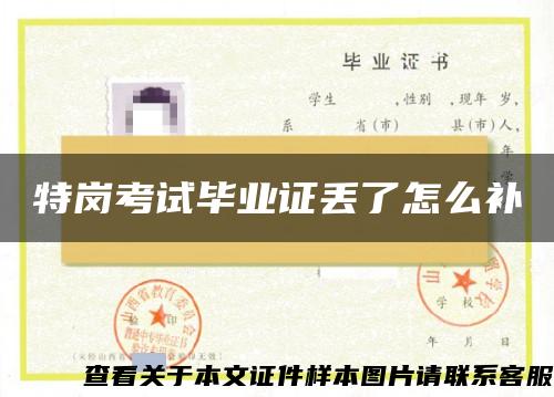 特崗考試畢業證丟了怎么補