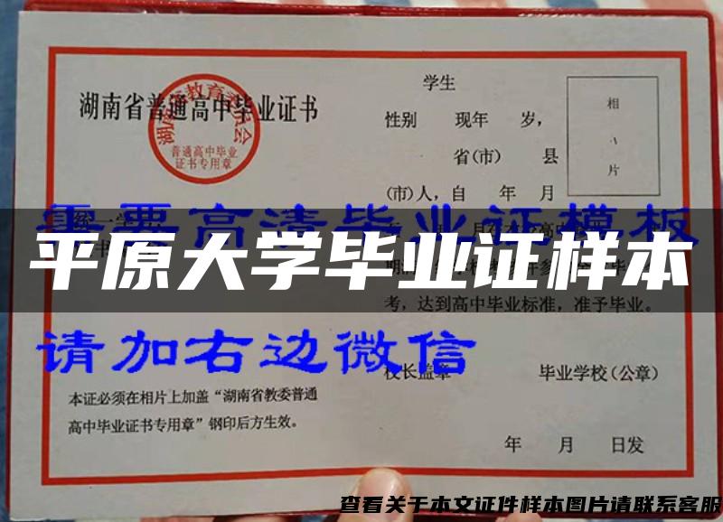 平原大學畢業證樣本
