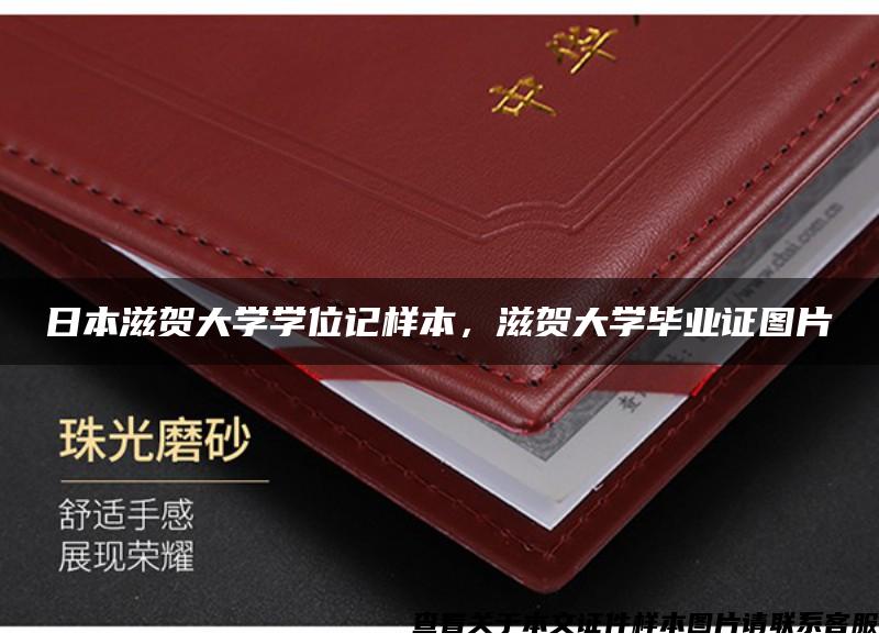 日本滋賀大學學位記樣本，滋賀大學畢業證圖片