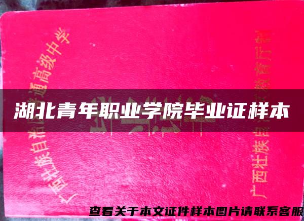 湖北青年職業學院畢業證樣本