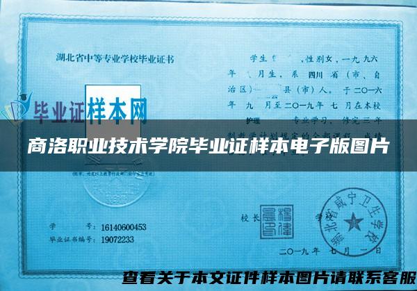 商洛職業技術學院畢業證樣本電子版圖片