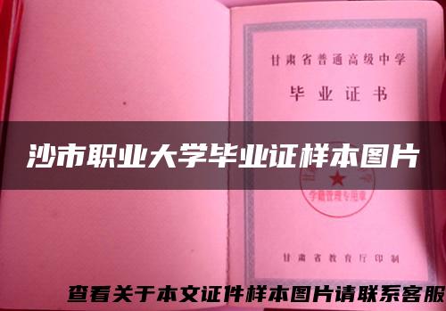 沙市職業大學畢業證樣本圖片