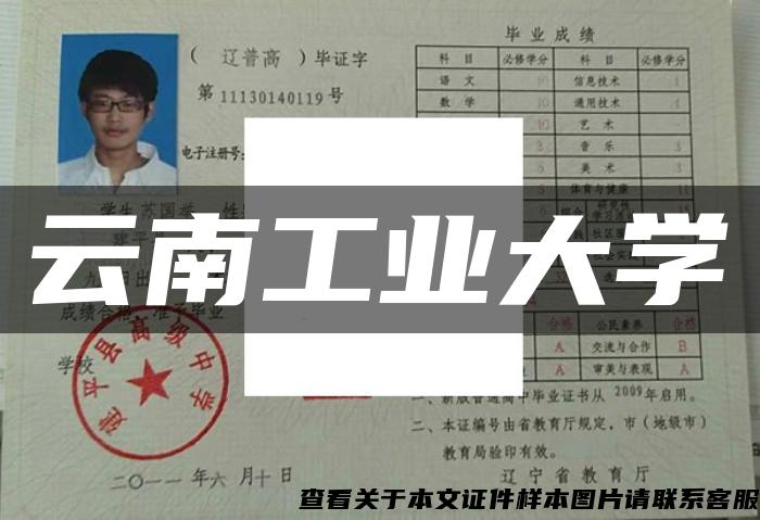 云南工業大學