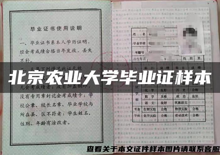 北京農業大學畢業證樣本
