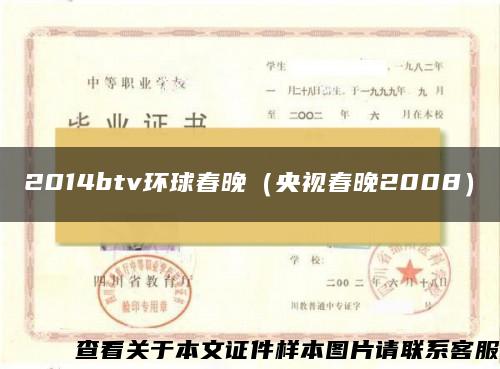 2014btv環球春晚（央視春晚2008）