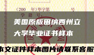美國原版田納西州立大學畢業證書樣本