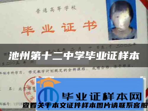 池州第十二中學畢業證樣本