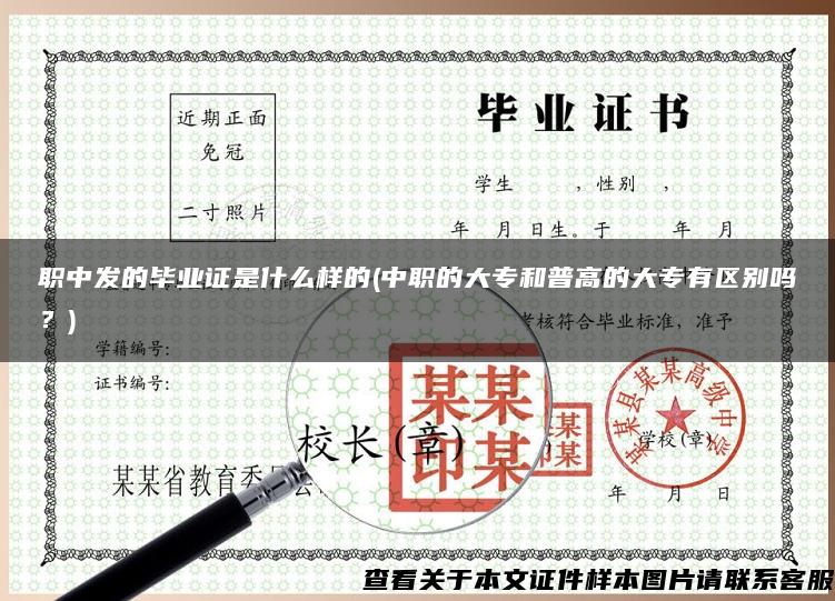 職中發的畢業證是什么樣的(中職的大專和普高的大專有區別嗎？)
