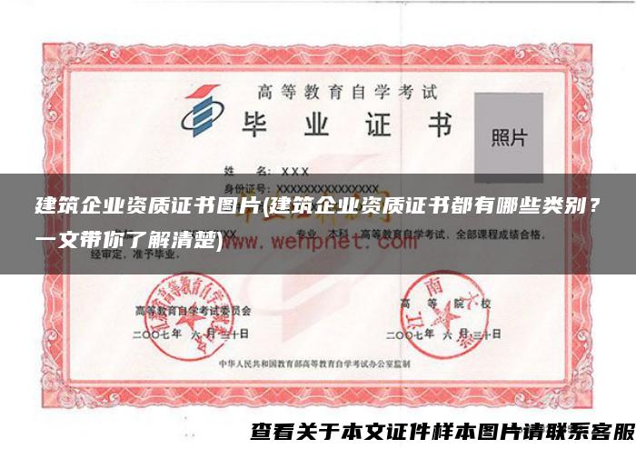 建筑企業資質證書圖片(建筑企業資質證書都有哪些類別？一文帶你了解清楚)