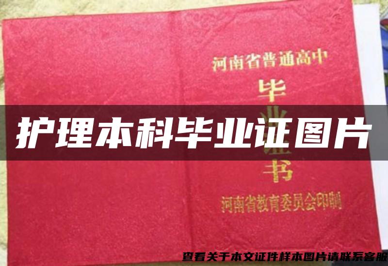 護理本科畢業證圖片