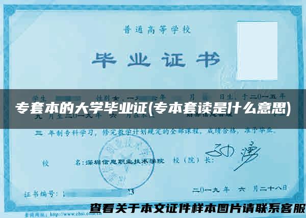 專套本的大學畢業證(專本套讀是什么意思)