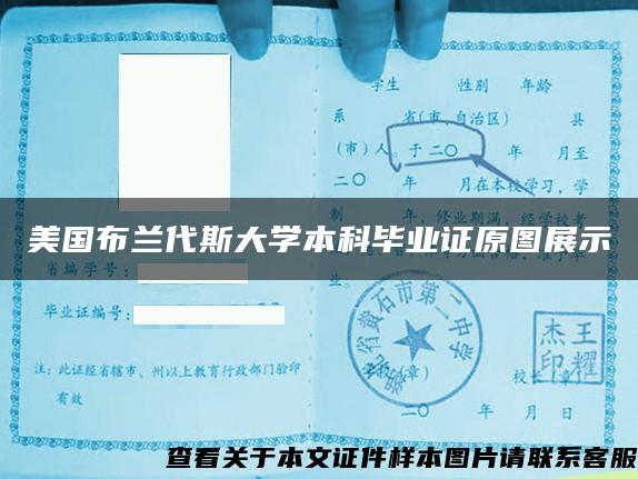 美國布蘭代斯大學本科畢業證原圖展示