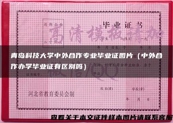 青島科技大學中外合作專業畢業證圖片（中外合作辦學畢業證有區別嗎）