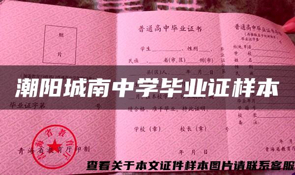 潮陽城南中學畢業證樣本