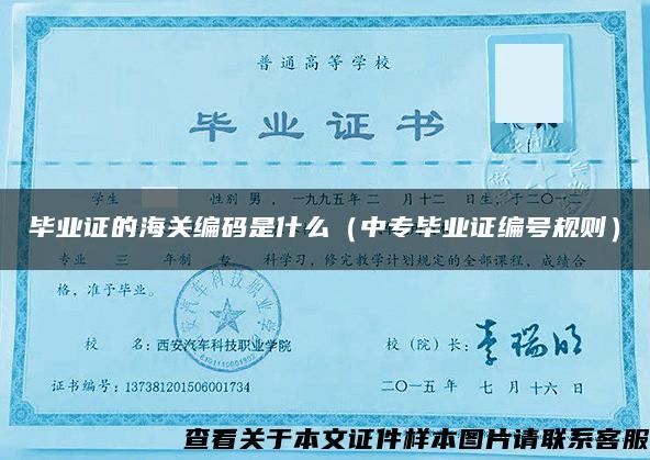畢業證的海關編碼是什么（中專畢業證編號規則）