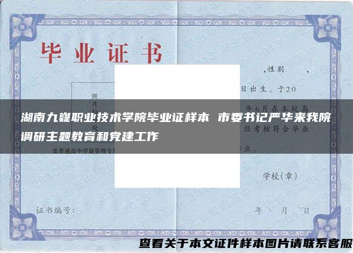 湖南九嶷職業技術學院畢業證樣本 市委書記嚴華來我院調研主題教育和黨建工作