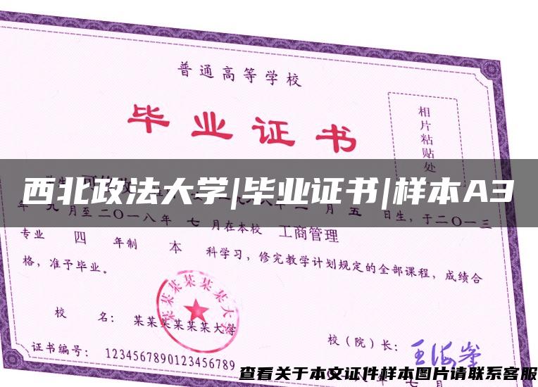 西北政法大學|畢業證書|樣本A3