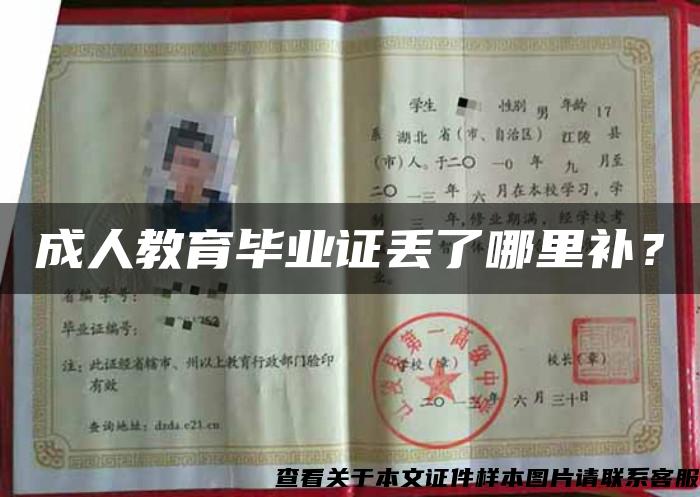成人教育畢業證丟了哪里補？
