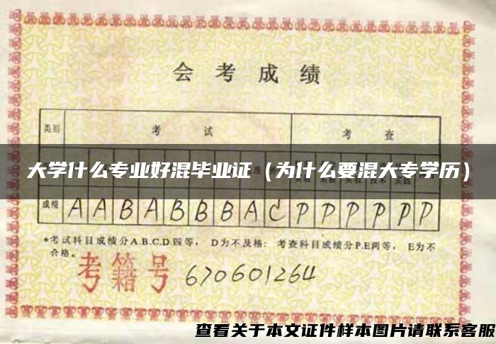 大學什么專業好混畢業證（為什么要混大專學歷）