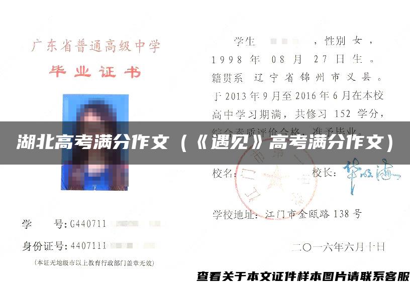湖北高考滿分作文（《遇見》高考滿分作文）