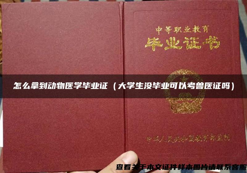 怎么拿到動物醫學畢業證（大學生沒畢業可以考獸醫證嗎）