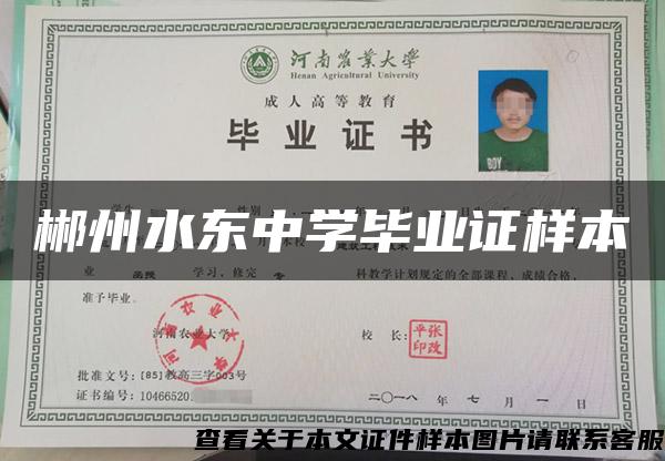 郴州水東中學畢業證樣本