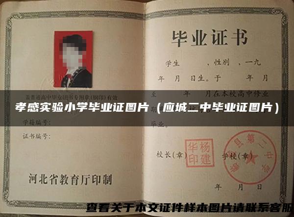 孝感實驗小學畢業證圖片（應城二中畢業證圖片）