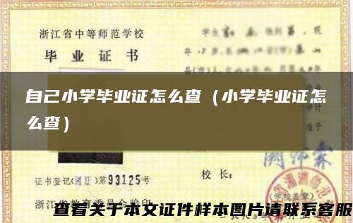 自己小學畢業證怎么查（小學畢業證怎么查）
