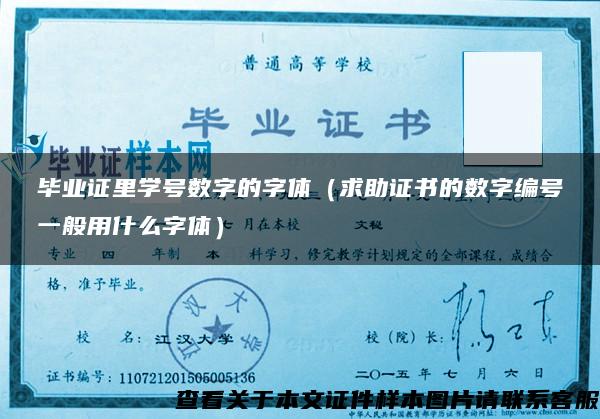 畢業證里學號數字的字體（求助證書的數字編號一般用什么字體）