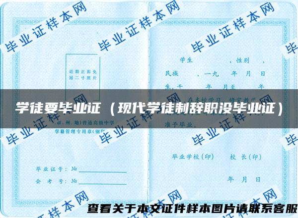 學徒要畢業證（現代學徒制辭職沒畢業證）