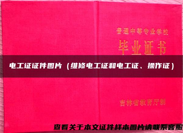 電工證證件圖片（維修電工證和電工證、操作證）