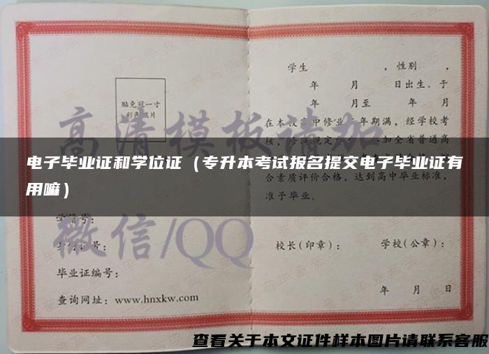 電子畢業證和學位證（專升本考試報名提交電子畢業證有用嘛）