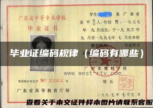 畢業證編碼規律（編碼有哪些）