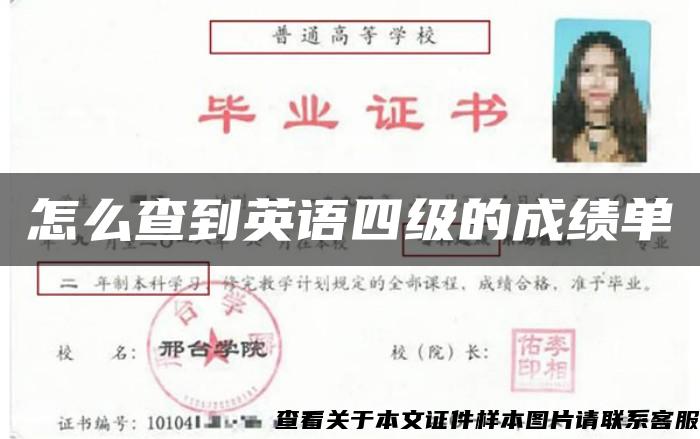 怎么查到英語四級的成績單