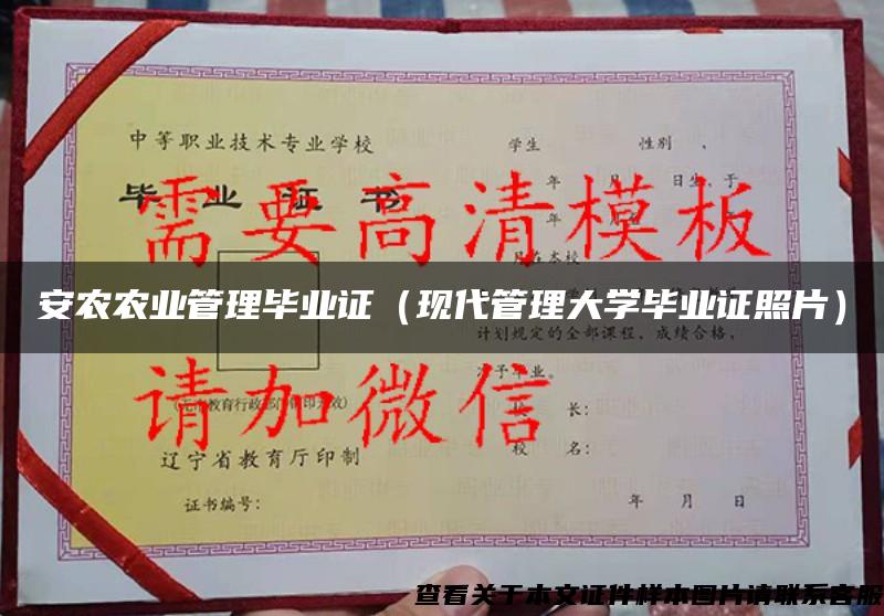 安農農業管理畢業證（現代管理大學畢業證照片）