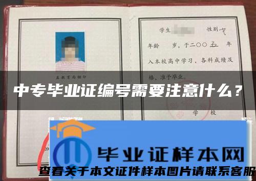 中專畢業證編號需要注意什么？