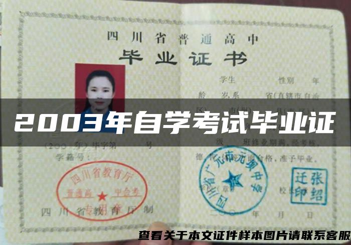 2003年自學考試畢業證