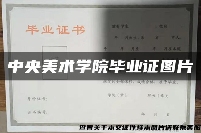 中央美術學院畢業證圖片