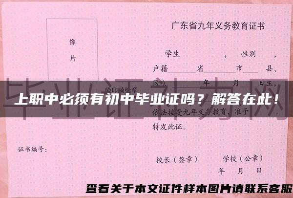 上職中必須有初中畢業證嗎？解答在此！