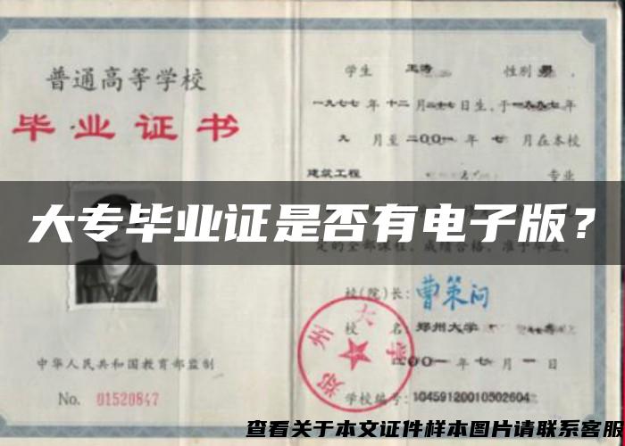 大專畢業證是否有電子版？